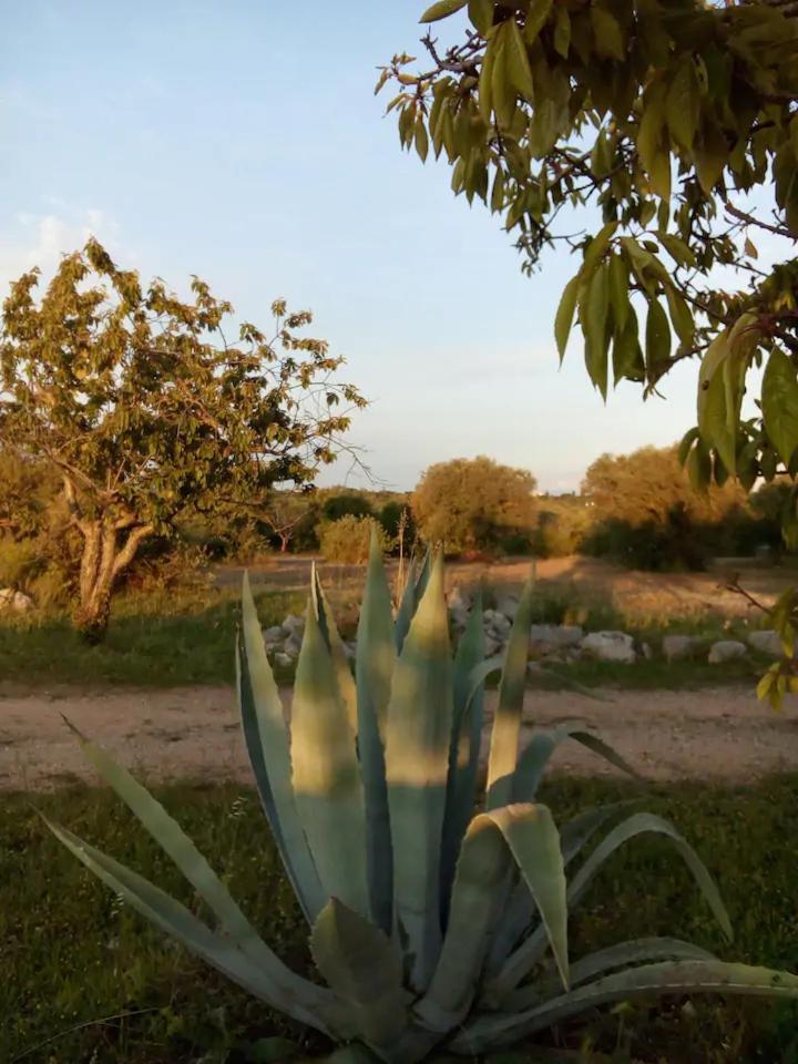 Masseria Fra Diavolo Guest House กัสเตลลานา กรอตเต ภายนอก รูปภาพ
