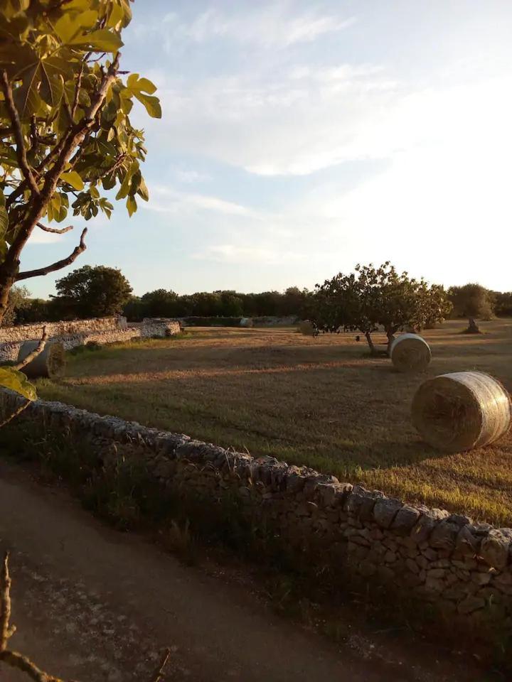 Masseria Fra Diavolo Guest House กัสเตลลานา กรอตเต ภายนอก รูปภาพ
