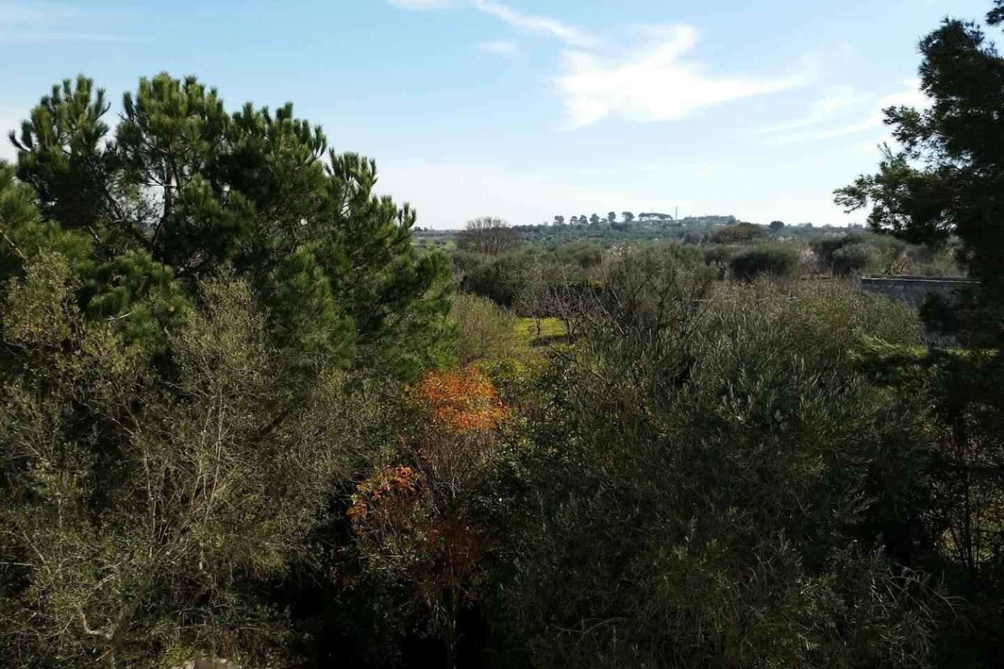 Masseria Fra Diavolo Guest House กัสเตลลานา กรอตเต ภายนอก รูปภาพ